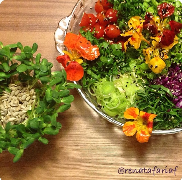 O Poder da Germinação – por Renata Faria