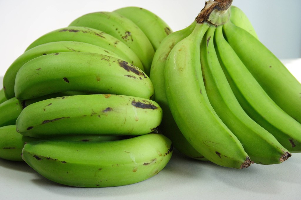 Biomassa de banana verde – Por Dra Pollyana&nbsp;Aoki