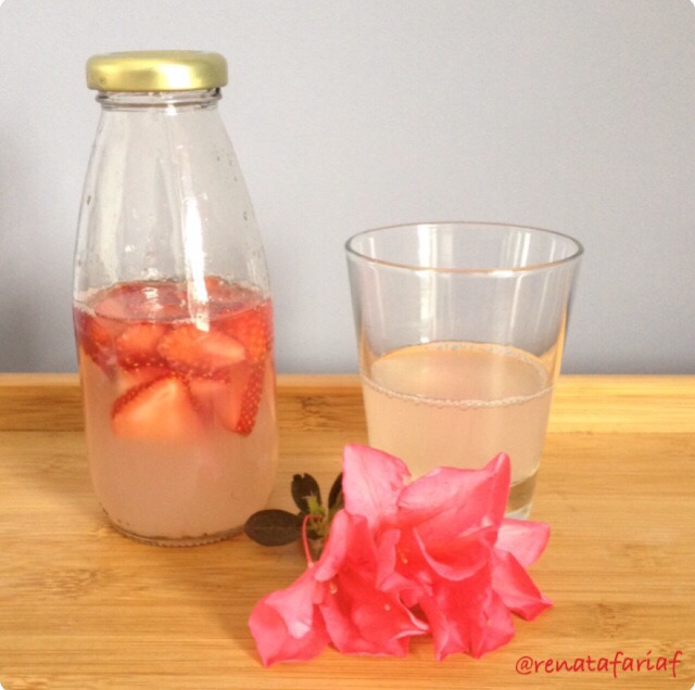 Rejuvelac – O líquido da vida! – Por Renata Faria